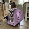 Soft-Sided Dog Carrier Backpack, Breathable Mesh, Foldable
