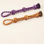 Rope dog toy, dense knotted chew toy for tug and play, Colorful 3, studio