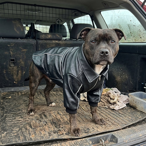 Warm Fleece Dog Jumper, Autumn and Winter, for Large Breeds