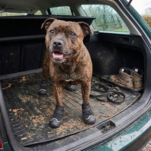 Dog Boots Winter: Dog boots, waterproof non-slip paw protection for winter walks, Black