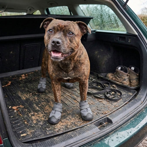 Dog boots, waterproof non-slip paw protection for winter walks, Gray